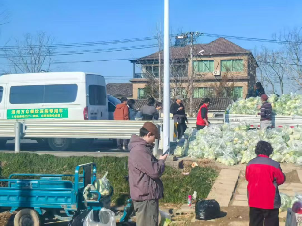 急急急！家庭顶梁柱骤然离世，数万斤蔬菜何去何从